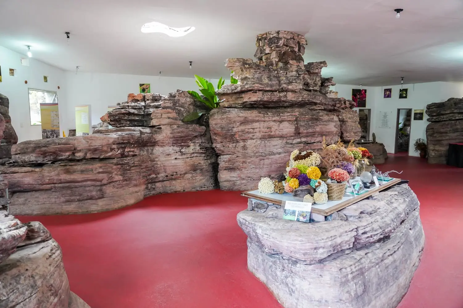 Imagem Principal da Galeria